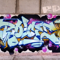 Roice_333_K5U_PRS_Elche_Spain_HMNI_Graffiti_Spraydaily_05