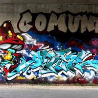 Roice_333_K5U_PRS_Elche_Spain_HMNI_Graffiti_Spraydaily_11