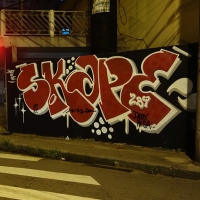 Skape289_Graffiti_HMNI_Spraydaily_02_Sao Paulo