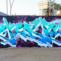 Skape289_Graffiti_HMNI_Spraydaily_14_San Diego