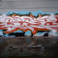 Se2_copenhagen_graffiti_hmni_spraydaily_13