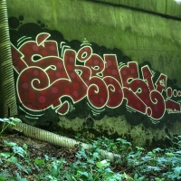 Shels_HMNI_Graffiti_Spraydaily_Seattle_USA_05