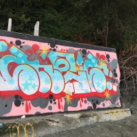 Shels_HMNI_Graffiti_Spraydaily_Seattle_USA_14