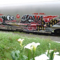 Sheryo-Yok_Graffiti_Streetart_Spraydaily_19