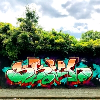 Skill_Aerosolkings_Antwerp_Belgium_Graffiti_Spraydaily_02
