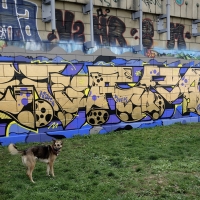 Sobekcis_HMNI_Spraydaily_Graffiti_02