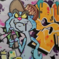Space_HMNI_MCK_Graffiti_SPraydaily_12