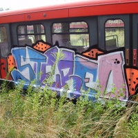 Stereo_1UP_HMNI_SprayDaily_05
