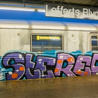 Stereo_1UP_HMNI_SprayDaily_08