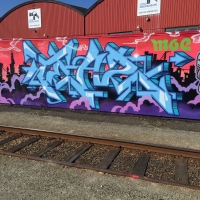 Teazer_Byron-bay-graffiti-spraydaily_hmni_04