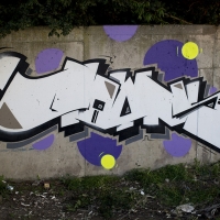 Towns_HMNI_Graffiti_Spraydaily_05
