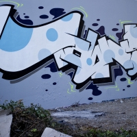Towns_HMNI_Graffiti_Spraydaily_06