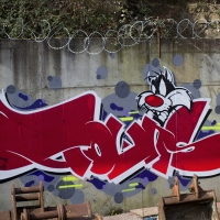 Towns_HMNI_Graffiti_Spraydaily_09