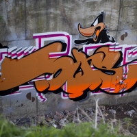 Towns_HMNI_Graffiti_Spraydaily_18