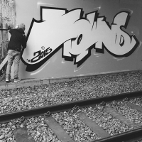 Towns_HMNI_Graffiti_Spraydaily_24