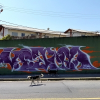Vejam_CI_HMNI_SPraydaily_Florianopolis_Brasil_Graffiti_25