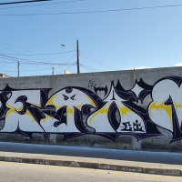 Vejam_CI_HMNI_SPraydaily_Florianopolis_Brasil_Graffiti_30