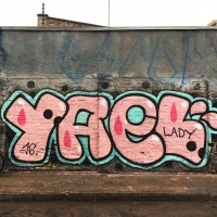 Yael_LADY_HMNI_Santiago De Chile_Graffiti_Spraydaily_04