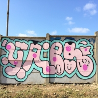 Yael_LADY_HMNI_Santiago De Chile_Graffiti_Spraydaily_05