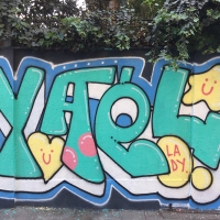 Yael_LADY_HMNI_Santiago De Chile_Graffiti_Spraydaily_06