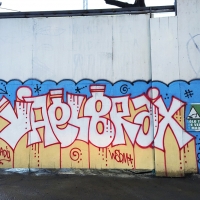 Yael_LADY_HMNI_Santiago De Chile_Graffiti_Spraydaily_08