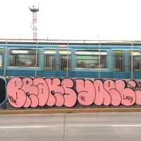 Yael_LADY_HMNI_Santiago De Chile_Graffiti_Spraydaily_09