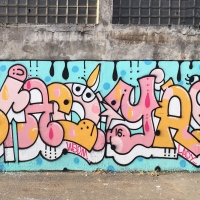 Yael_LADY_HMNI_Santiago De Chile_Graffiti_Spraydaily_11