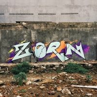 Zorn_BK-Crew_Hamburg_Graffiti_Spraydaily_02