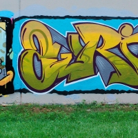 Zurik_HMNI_Graffiti_Girl_Bogota_Colombia_02