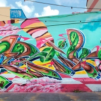 Zurik_HMNI_Graffiti_Girl_Bogota_Colombia_05