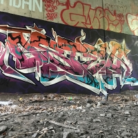 Osteo_TF_DBM_DOA_FHC_Rhode-island_HMNI_graffiti_spraydaily_03
