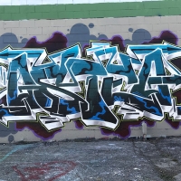 Osteo_TF_DBM_DOA_FHC_Rhode-island_HMNI_graffiti_spraydaily_06
