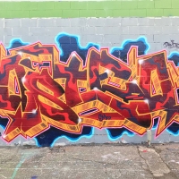 Osteo_TF_DBM_DOA_FHC_Rhode-island_HMNI_graffiti_spraydaily_07