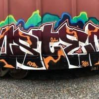 Osteo_TF_DBM_DOA_FHC_Rhode-island_HMNI_graffiti_spraydaily_08