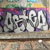 Osteo_TF_DBM_DOA_FHC_Rhode-island_HMNI_graffiti_spraydaily_13