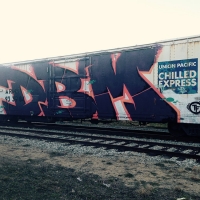 Osteo_TF_DBM_DOA_FHC_Rhode-island_HMNI_graffiti_spraydaily_16