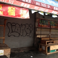 Lions_Graffiti_SprayDaily_06
