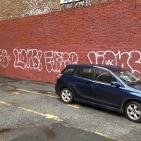 Lions_Graffiti_SprayDaily_07