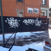 Lions_Graffiti_SprayDaily_09