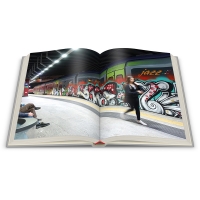 - 3D Book_SABE Still Around_INLAY_16-17