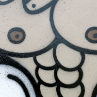 Sawe_MTN_SpratDaily_09