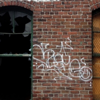 Sueme_Spraydaily_07