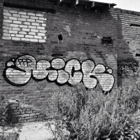 Tagsandthrows_OKOK_Spraydaily_Interview_03