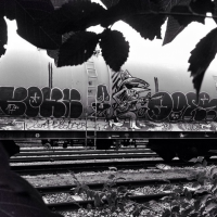 Tagsandthrows_OKOK_Spraydaily_Interview_04