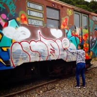The Burning of Kingston_Graffiti_Spraydaily_02