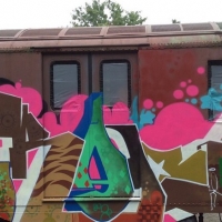 The Burning of Kingston_Graffiti_Spraydaily_16
