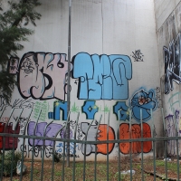 Graffiti_Sao-Paulo_Spraydaily_Allyouseeiscrimeinthecity_05