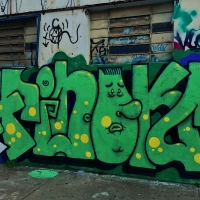 Graffiti_Sao-Paulo_Spraydaily_Allyouseeiscrimeinthecity_09_Finok