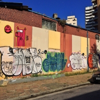 Graffiti_Sao-Paulo_Spraydaily_Allyouseeiscrimeinthecity_11