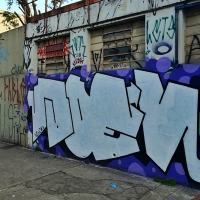 Graffiti_Sao-Paulo_Spraydaily_Allyouseeiscrimeinthecity_12_VLOK